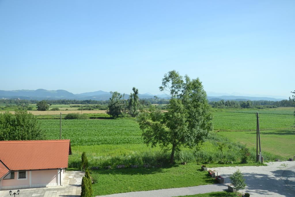 Guesthouse Bistra Vrhnika Room photo